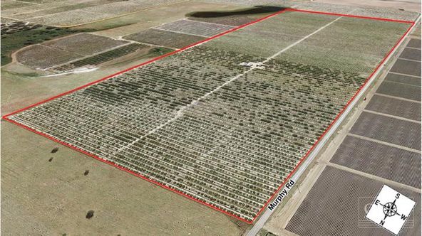 Murphy Road, Bartow, FL 33830